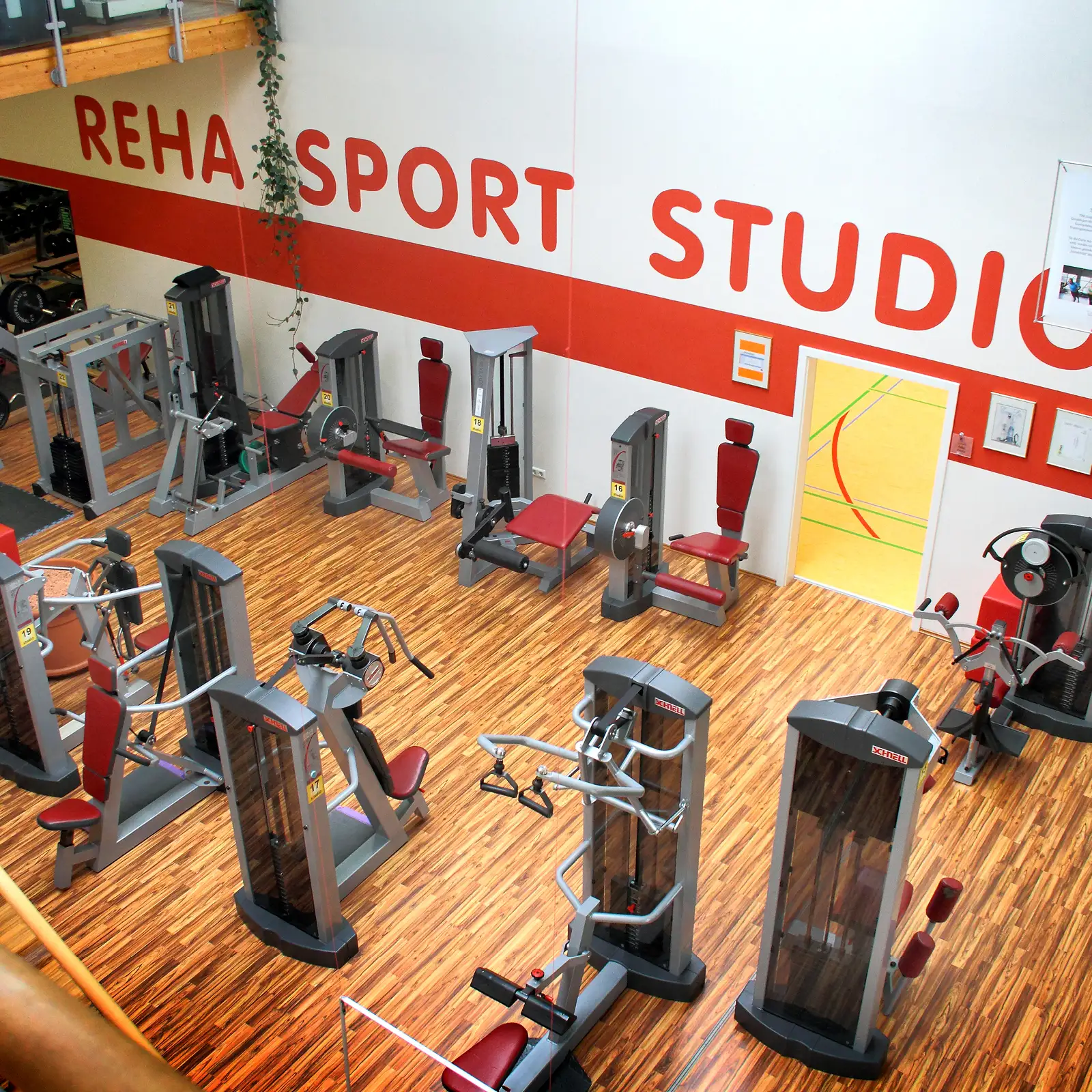 Innenansicht des Studios mit verschiedenen Trainingsgeräten auf Holzboden
